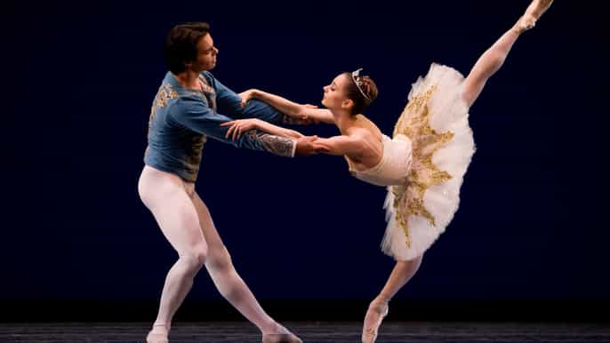 st. petersburg swan lake ballet theater ticket