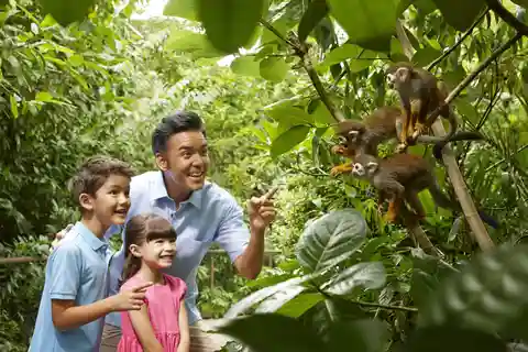 Entrada para o Mandai Park com opção de atrações