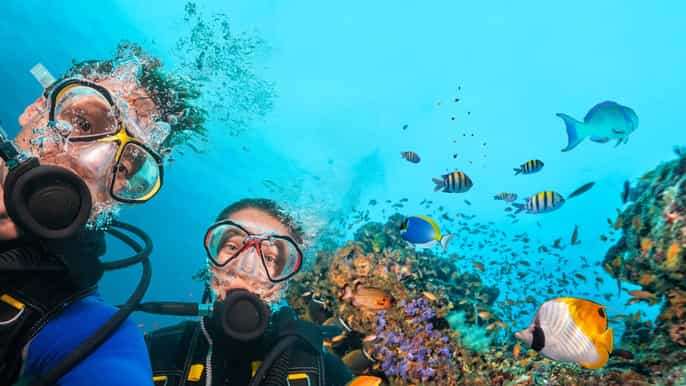 excursão de mergulho de marmaris e icmeler