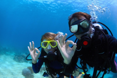 Scuba Diving Tour from Marmaris and Icmeler 1-Day Diving Tour in Marmaris