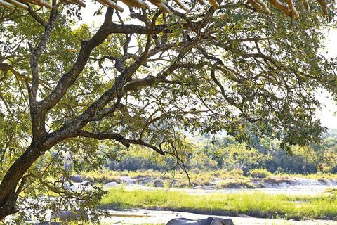 4 Days Private Midrange Safari from Zanzibar with Flights