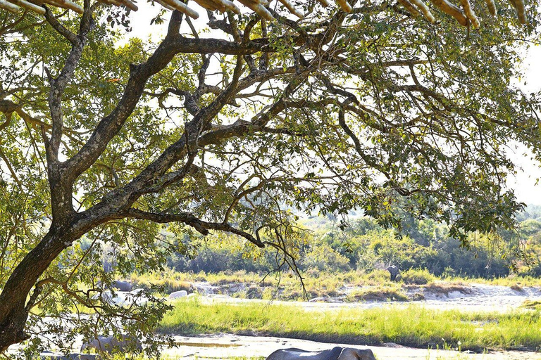 4 Days Private Midrange Safari from Zanzibar with Flights