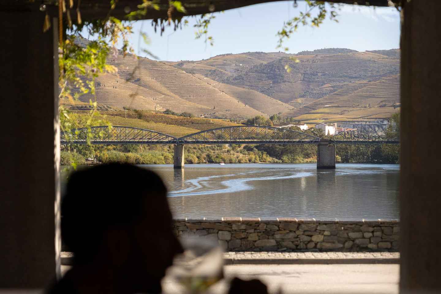 Portó: Heilsdagsferð um Douro á bát og í lest