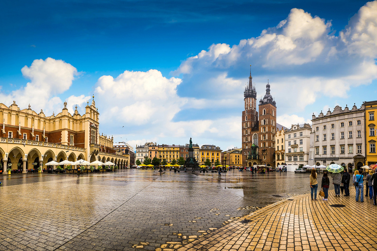 Desde Varsovia: excursión de un día a Cracovia y Auschwitz