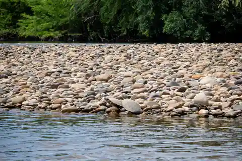 Tour pela comunidade e biodiversidade do deserto de Tatacoa Neiva