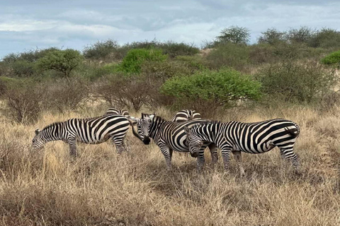 Mombasa:2-Day Tsavo East Wildlife Safari with Overnight Stay