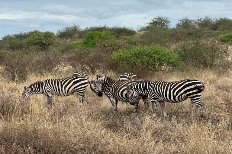 Mombasa:2-Day Tsavo East Wildlife Safari with Overnight Stay