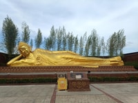 Bintan Half Day Tour (5hrs) - Housity