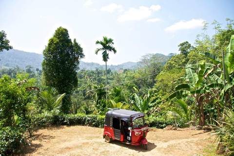 From Sigiriya: Sigiriya Lion Rock & Village Tour by Tuk Tuk