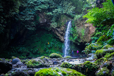 Z Ponta Delgada: Wędrówka Moinho do Félix