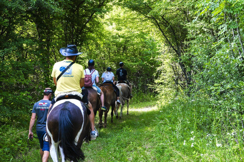 Plitvice: Horseback Riding Tour with Cave Entry Ticket Ride to Barać Caves (Half‑day Horseback Tour)