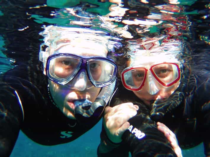 Tenerife Exclusive Snorkeling Trip with Marine Biologist GetYourGuide
