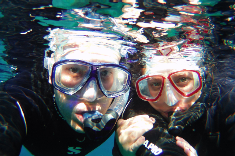 Tenerife Exclusive Snorkeling Trip with Marine Biologist