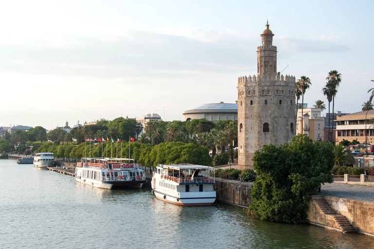 Sevilla: Alcázar Full-Day vanuit Granada