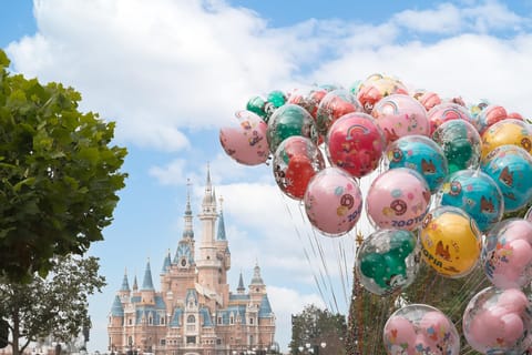 Shanghai Disneyland Guided Tour: 6-Hour Group/Private