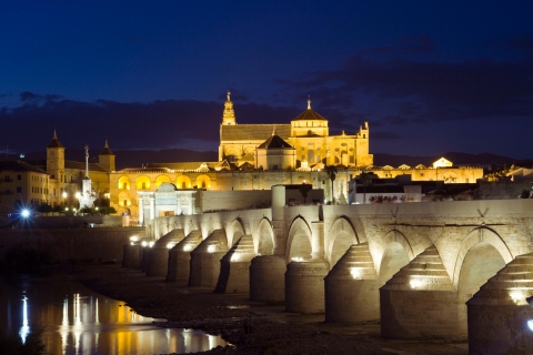 Córdoba and Mezquita from Málaga
