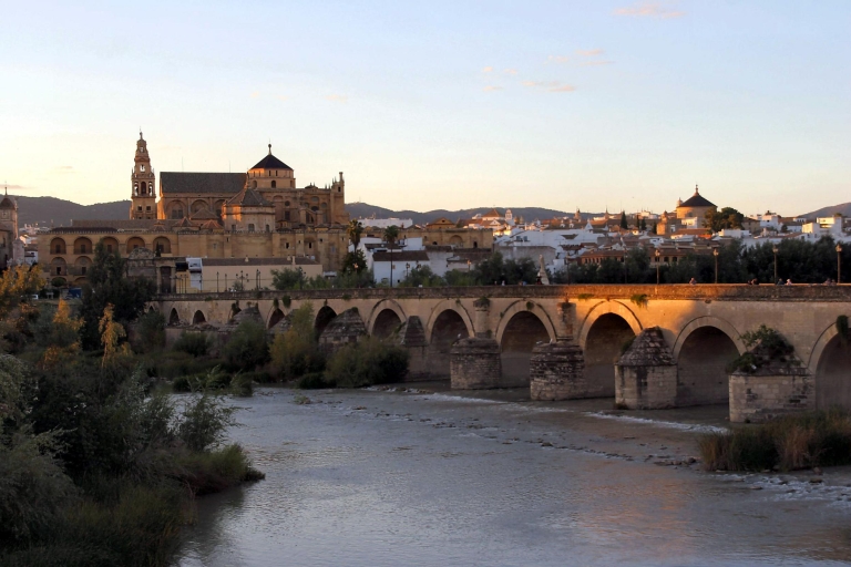 Desde Málaga: Córdoba y Mezquita