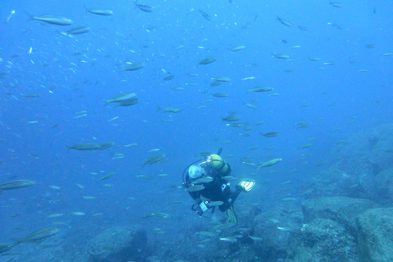 San Miguel de Abona: 2 Tauchgänge