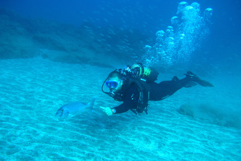 San Miguel de Abona: 2–Dive Package