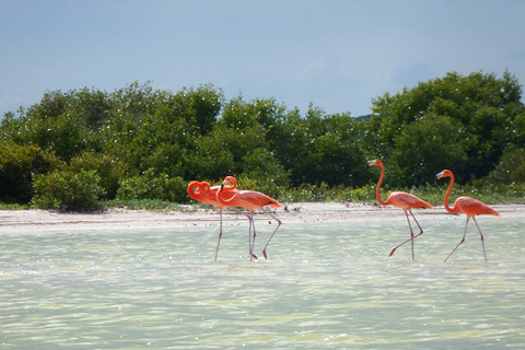 From Cancún: Day Trip to Las Coloradas Pink Lakes From Cancún: Day Trip to Las Coloradas and Ek Balam