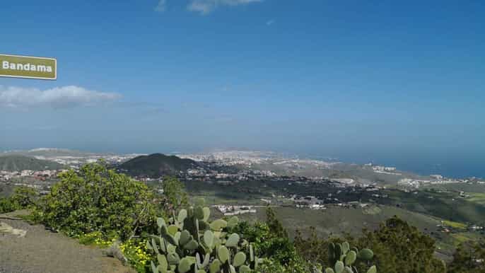 bandama caldera botanic garden and old town from las palmas