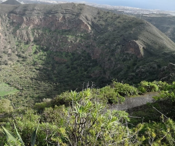 Private Bandama Caldera, Botanic Garden(/Wine*), Old Town