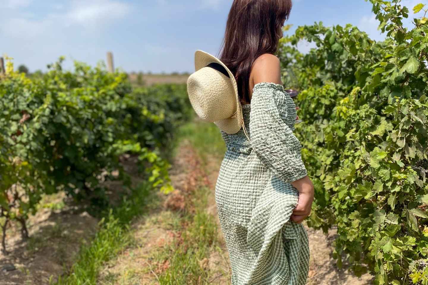 Weinroute um den „armenischen Vatikan“:Kultur- und Weintour