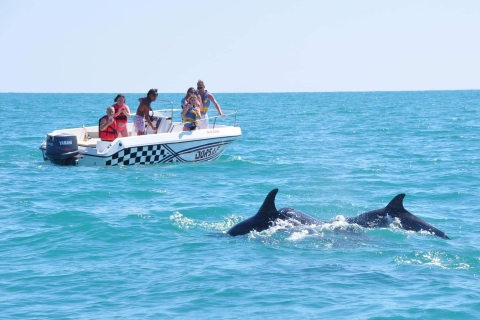 Djerba: Marine Adventure and Dolphin Search by Speedboat Marine Adventure and Dolphin Search by Speedboat 3 hours