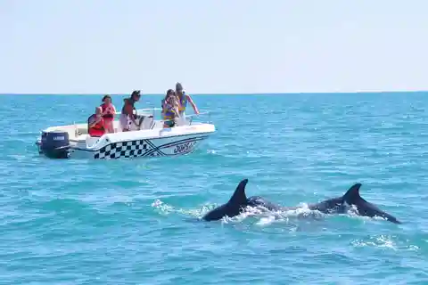 Djerba: Marine Adventure and Dolphin Search by Speedboat