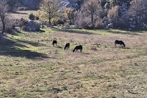Antalya/Side:Altinbesik Cave Boat Tour with Lunch & Transfer Antalya: Altinbesik Cave Boat Tour with Lunch & Transfer