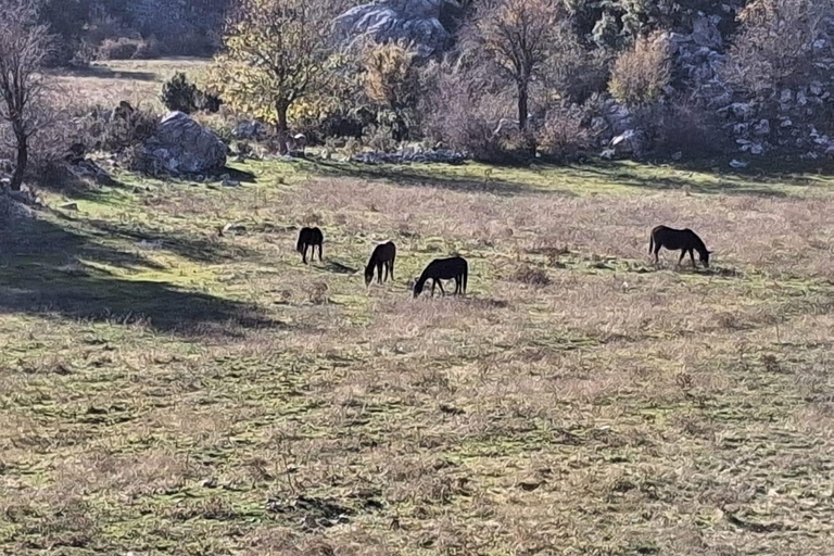 Antalya/Side:Altinbesik Cave Boat Tour with Lunch & Transfer Antalya: Altinbesik Cave Boat Tour with Lunch & Transfer