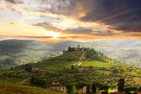 From Florence: Private Wine Tour with Dinner on an Estate