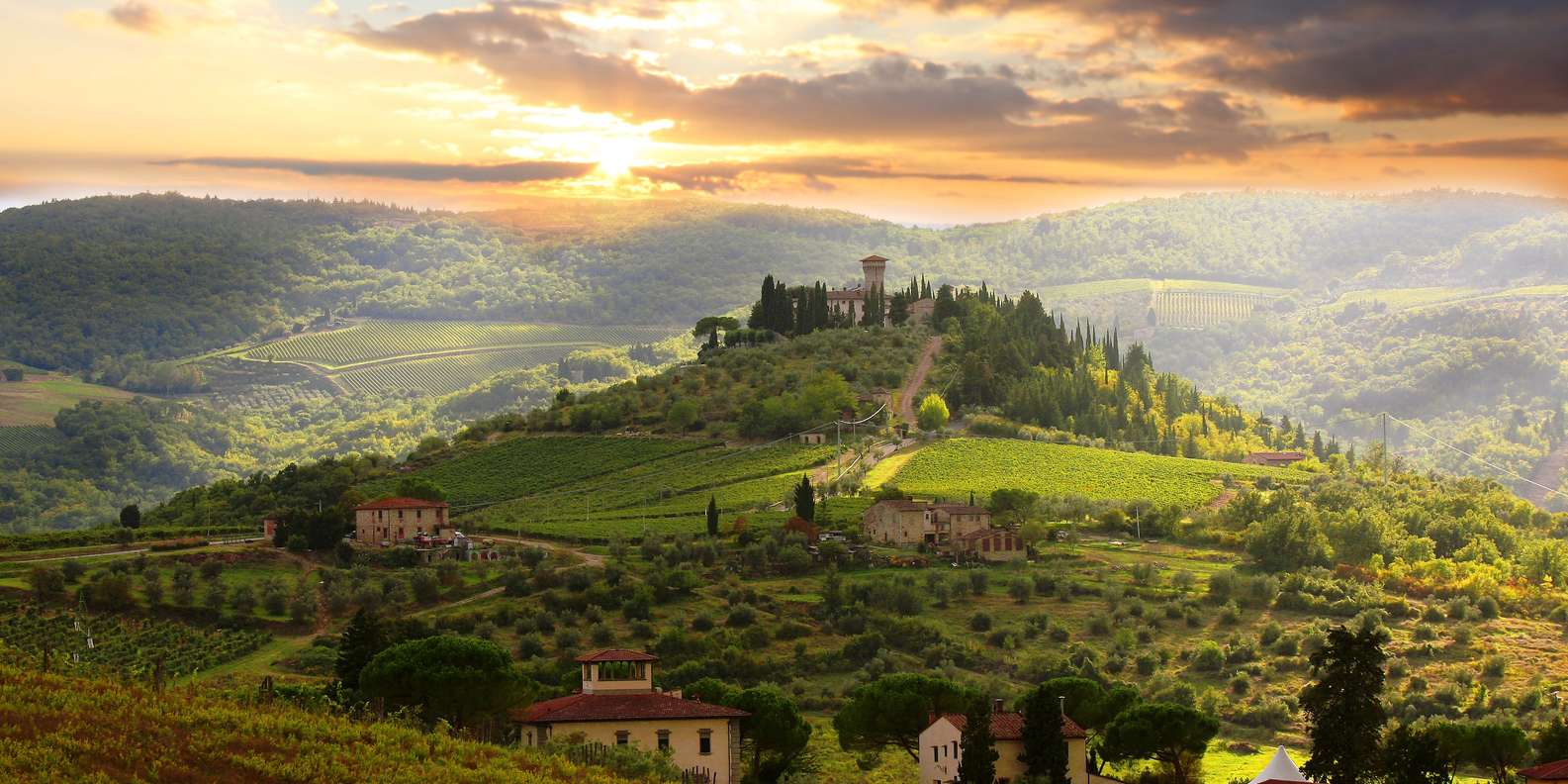 From Florence: Private Wine Tour with Dinner on an Estate