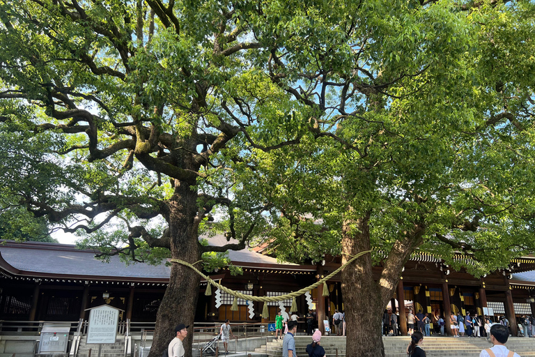 Tokyo: Meiji Jingu Shrine and Shinto Culture Walking Tour Meiji Shrine Walking Tour