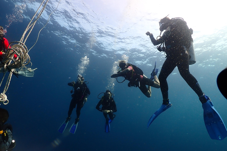 Pattaya: Fun Dive 2 Ocean Dives and Lunch (Certified Diver)