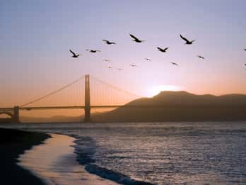 San Francisco: Sonnuntergangs-Radtour & Alcatraz 2-Tage-Tour San Francisco: Sonnuntergangs-Radtour & Alcatraz 2-Tage-Tour