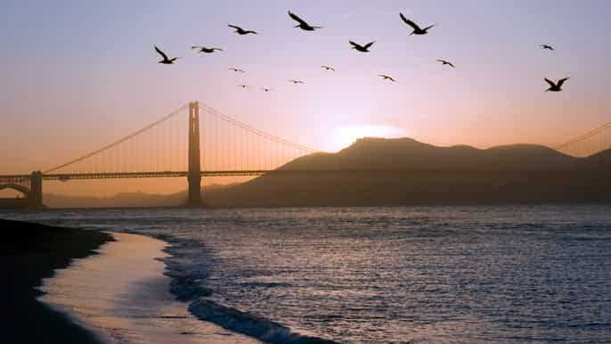 san francisco tour en bici al atardecer y 2 días a alcatraz