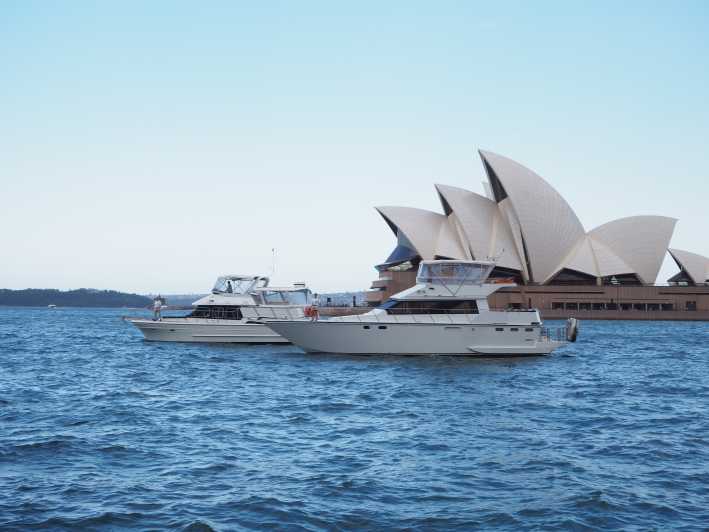 Sydney Harbour: 2-Hour Morning Yacht Cruise with Morning Tea