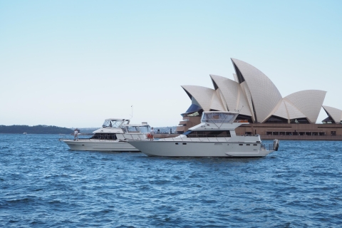 Port de Sydney: croisière en bateau de 2 heures avec thé le matinPort de Sydney: Croisière de 2 heures le matin avec le thé du matin