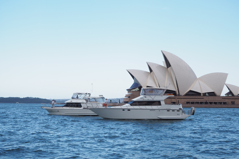 Port de Sydney: croisière en bateau de 2 heures avec thé le matinPort de Sydney: Croisière de 2 heures le matin avec le thé du matin