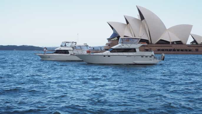sydney harbour 2hour morning yacht cruise with morning tea