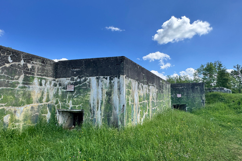 Verdun: the battle explained on the ground