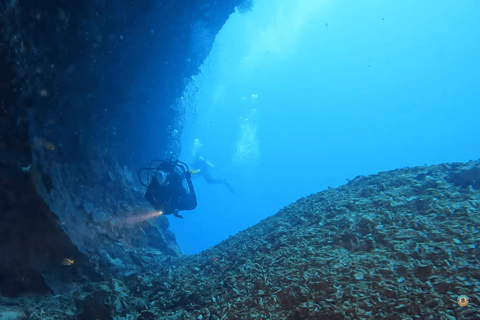 Moalboal : Scuba Diving Sardine Run and Turtle Chasing Scuba Diving: Sardine Run, Turtle Chasing &Pescador Island