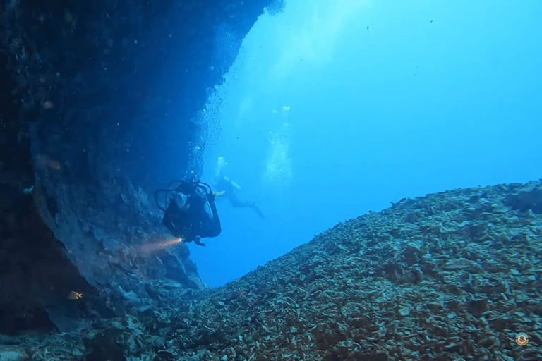 Moalboal : Scuba Diving Sardine Run and Turtle Chasing Scuba Diving: Sardine Run, Turtle Chasing &Pescador Island