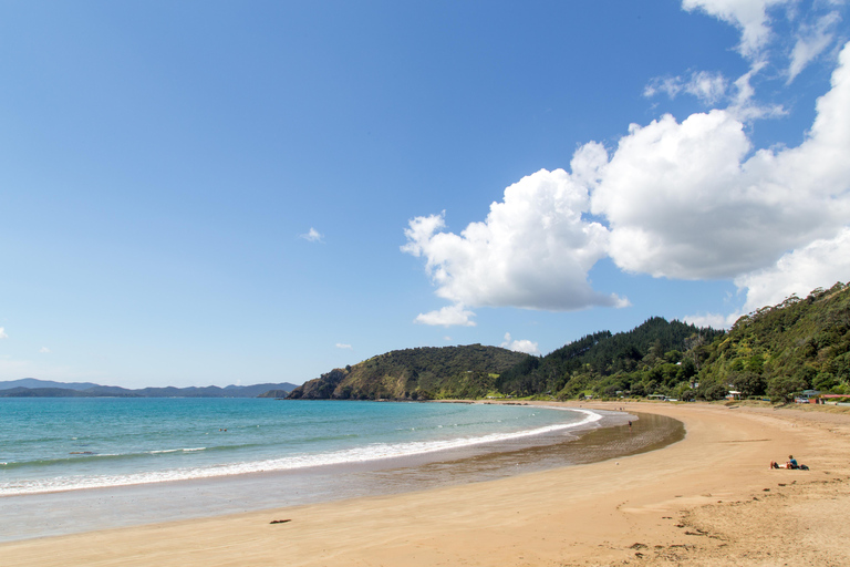 Bay of Islands: Half-Day Scenic Tour with Ferry Crossing
