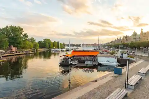 Stockholm: Private Tour with City Hall, Vasa Museum & Lunch