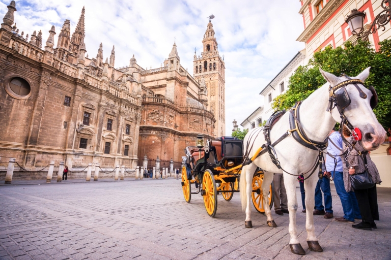Sevilla: Visita Guiada Catedral y AlcázarTour privado