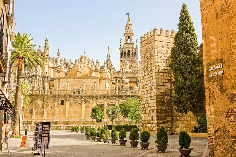 Séville : Visite guidée de la cathédrale et de l'AlcazarVisite privée