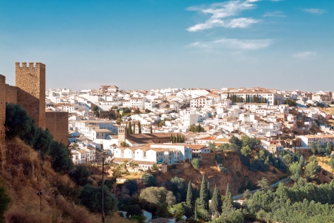 Au départ de Séville : Visite des villages blancsVisite privée