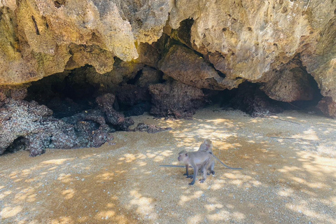 Ko Lanta: Mangrove kajakken, Ko Talabeng, & Schedeleiland